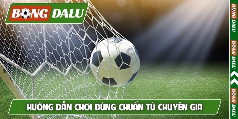 Hướng dẫn chơi đúng chuẩn từ chuyên gia