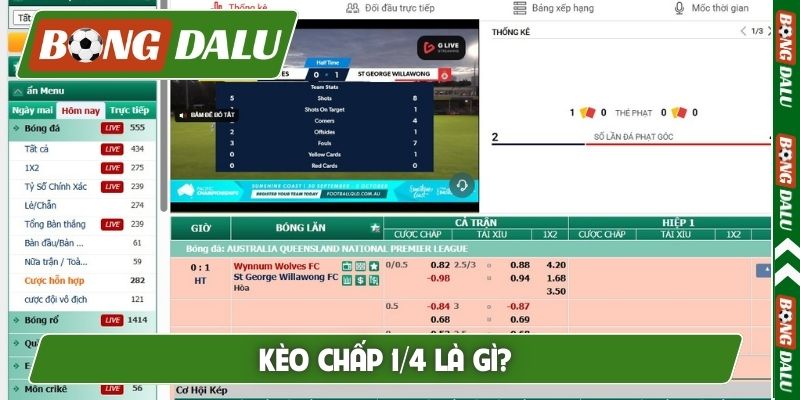 kèo chấp 1/4 là gì